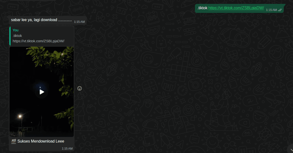 WhatsApp Bot - TikTok & Instagram Downloader